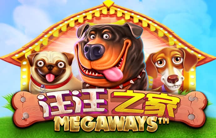 42982金牛网下载